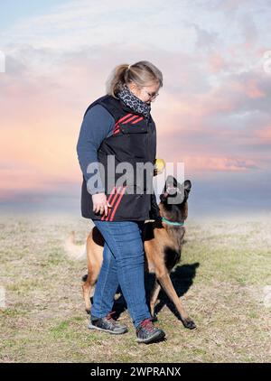 malinois-Training für Gehorsamsdisziplin in der Natur Stockfoto