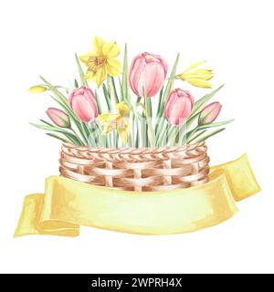 Tulpen und Narzissen zartes Bouquet im Korb, gelbes Bändchen. Isolierte handgezeichnete Aquarellillustration. Blüte Frühlingsgarten Flowe Stockfoto