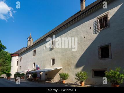 Stans: Schloss Tratzberg in der Silberregion Karwendel, Tirol, Österreich Stockfoto