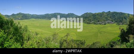 Panoramablick auf die spektakulären Reisfelder im Dorf Lodok Cara in der Nähe von Ruteng auf Flores, East Nusa Tenggara, Indonesien Stockfoto