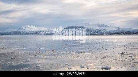 Zerklüftete Fjordlandschaft mit schneebedeckten Bergen von Vågsfjorden bei Harstad in Nordnorwegen. Stockfoto