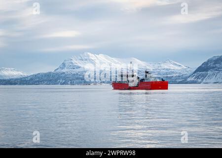 Wunderschöner Blick auf ein rotes Boot in einem Fjord, umgeben von schneebedeckten Bergen in der Nähe von Harstad, Norwegen. Stockfoto