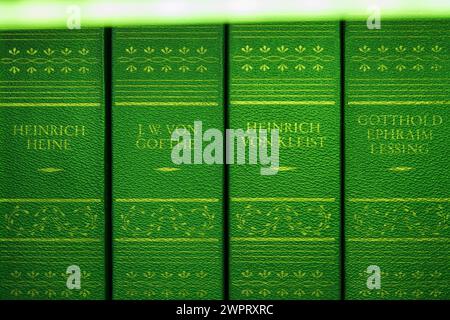 Alte Bücher mit grünem Einband oder Buchschnitt werden auf das giftige Arsen geprüft. Immer mehr Universitäten und Universitätsbibliotheken sperren einen Teil ihres Bücherbestandes aus dem 19. Jahrhundert. So zum Beispiel die Unis in Bielefeld, Siegen, Düsseldorf, aber auch in Kaiserslautern und Saarbrücken. *** Alte Bücher mit grünem Umschlag oder Buchkanten werden auf giftiges Arsen getestet. Immer mehr Universitäten und Universitätsbibliotheken schließen einige ihrer Buchsammlungen aus dem 19. Jahrhundert. Zum Beispiel die Universitäten Bielefeld, Siegen und Düsseldorf, aber auch Kaiserslautern und SAA Stockfoto