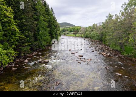 Der Scottish River, flankiert von dichten, lebhaften grünen Wäldern, fließt sanft über ein felsiges Bett. Die üppige Landschaft öffnet sich zu sanften Hügeln in der Ferne, Stockfoto