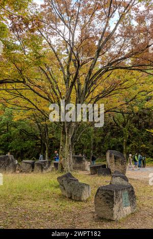 Osaka Castle Park: Atemberaubende Kirschblüten und lebhafte Touristen Stockfoto