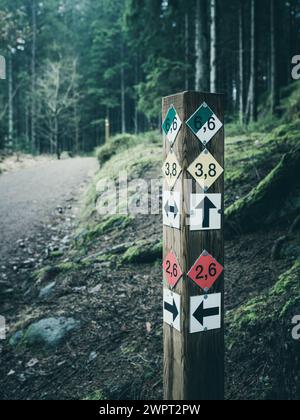 Ein hölzerner Wegweiser mit mehreren Pfeilen, die in verschiedene Richtungen zeigen und verschiedene Wege im Wald anzeigen. Stockfoto