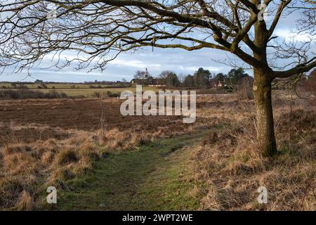 Braderuper Heide bei Kampen im Winter, Sylt Stockfoto