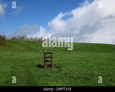 Holzstielstruktur auf dem Feld des Bauernhofs, um den Zugang zu Wanderern entlang eines Fußwegs zu erleichtern, wenn Viehzäune vorhanden sind. Devon, Großbritannien Stockfoto