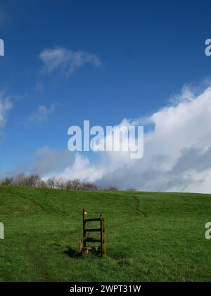 Holzstielstruktur auf dem Feld des Bauernhofs, um den Zugang zu Wanderern entlang eines Fußwegs zu erleichtern, wenn Viehzäune vorhanden sind. Devon, Großbritannien Stockfoto