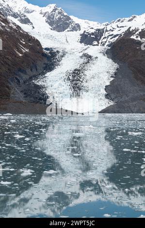 Der Tidewater-Gletscher spiegelt sich in den ruhigen Gewässern des College Fjord, Alaska, USA Stockfoto