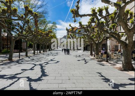 Promenade mit Platanen, Altstadt, Denkmal, Reise, Tourismus, Städtereise, Burgos, Spanien Stockfoto