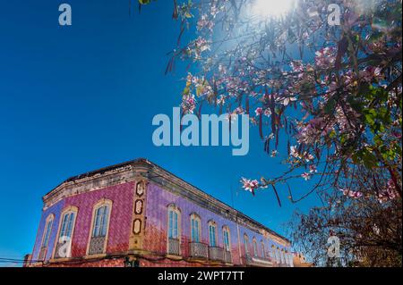 Haus mit Azulejo-Fassade, altes Gebäude, Architektur, Fliesen, Handwerk, traditionell, Tradition, Gebäude, Eigentum, Fliesen, Architektur, Baum, Pflanze Stockfoto