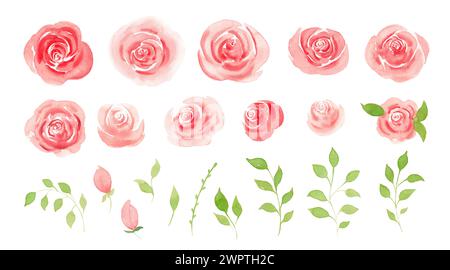 Set mit Blumenelementen in Aquarellen. Dekoration für Poster, Grußkarte, Geburtstag, Hochzeitsdesign. Stockfoto