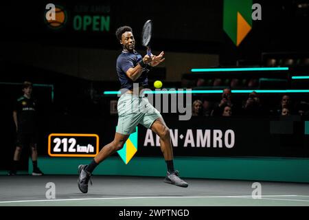 Rotterdam, Niederlande. Februar 2024. ROTTERDAM, NIEDERLANDE - 14. FEBRUAR: Gael Monfils aus Frankreich spielt im ersten Rundenspiel seiner Männer gegen Denis Shapovalov aus Kanada am 3. Tag der ABN AMRO Open 2024 im Rotterdam Ahoy am 14. Februar 2024 in Rotterdam, Niederlande, eine Vorhand. (Foto: Rene Nijhuis/BSR Agency) Credit: BSR Agency/Alamy Live News Stockfoto