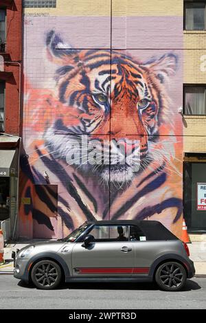 Handgemaltes Wandgemälde mit Tigerkopf, vor einem Mini-Cabrio, SoHo-Viertel, Manhattan, New York City, New York, USA Stockfoto