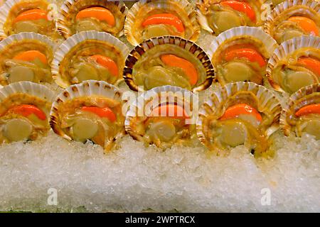 Frische Austern in Venedig, Italien, Venedig, Italien Stockfoto