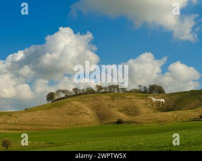 Das Cherhill White Horse wurde 1780 von Christopher Alsop geschnitten und wurde durch das Entfernen von Rasen geschaffen, um die darunter liegende Kreide freizulegen. Das Weiße Pferd, t Stockfoto