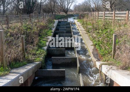 Walsham Lock Fish Pass on the River Wey Navigation, Ripley, Surrey, England, Vereinigtes Königreich, so konstruiert, dass Fischarten wie Aale das Wehr umgehen können Stockfoto