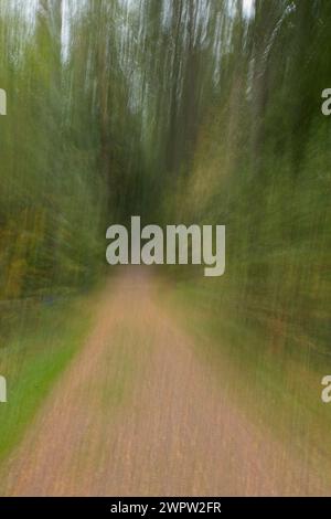 ICM absichtliche Kamerabewegung mit Langzeitbelichtung des Naturlehrpfads mit Blättern auf dem Boden im Herbst. Stockfoto