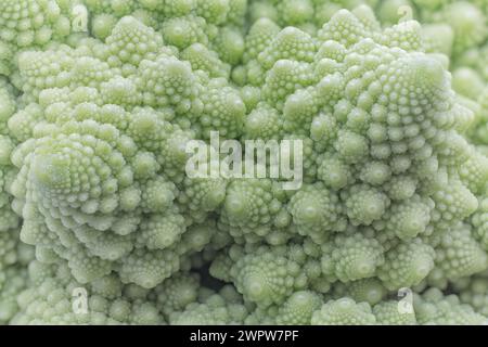 Romanesco Brokkoli oder romanischer Blumenkohl (Brassica oleracea var. botrytis), Brassicaceae. Sorte des Blumenkohls. Bild der natürlichen Fraktale. Stockfoto