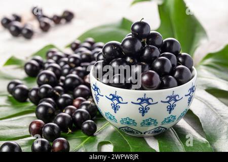 Yabuticaba oder Jabuticaba ist ein Baum aus Brasilien, Argentinien, Bolivien und Paraguay Stockfoto