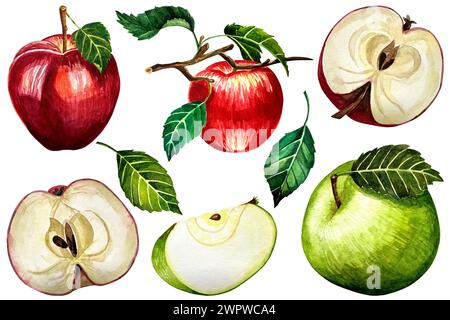 Handgezeichnetes Aquarell-Illustrationsset der grünen und roten Äpfel Früchte. Nahrungsmittelzeichnung isoliert auf weißem Hintergrund. Stockfoto