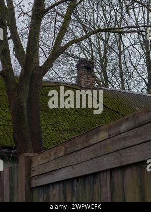 Grünes Moos auf dem verlassenen Hausdach Stockfoto