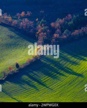 Aus der Vogelperspektive von einer Drohne auf die Winterlandschaft der Wälder und Kulturen und die Umgebung der Stadt Basabe de Valdegovoia. Valdegovia Valley. Alava. Stockfoto