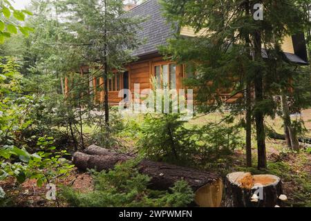 Blockhütte mit gelber Verkleidung, dunkelgrauem Asphalt schindelt Dach im Mansardenstil durch Laub- und immergrüne Bäume im Sommer. Stockfoto