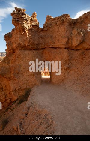 Kleiner Hoodoo Durch Tunnel Im Bryce Canyon Stockfoto