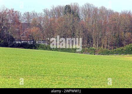 Kulturlandschaften in Nordrhein-Westfalen Kulturlandschaft mit Wiesen, Weiden und Wald zwischen Wattenscheid und Essen Wattenscheid Nordrhein-Westfalen Deutschland Sevinghausen *** Kulturlandschaften in Nordrhein-Westfalen Kulturlandschaft mit Wiesen, Weiden und Wald zwischen Wattenscheid und Essen Wattenscheid Nordrhein-Westfalen Deutschland Sevinghausen Stockfoto