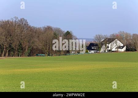 Kulturlandschaften in Nordrhein-Westfalen Kulturlandschaft mit Wiesen, Weiden und Wald zwischen Wattenscheid und Essen *** Kulturlandschaften in Nordrhein-Westfalen Kulturlandschaft mit Wiesen, Weiden und Wald zwischen Wattenscheid und Essen Stockfoto