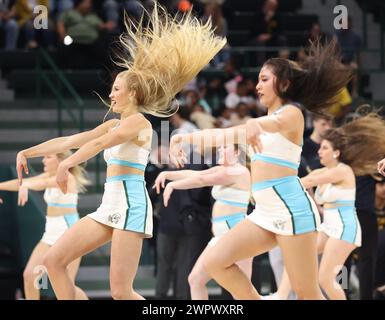 New Orleans, USA. März 2024. Die Tulane Green Wave Cheerleader treten am Freitag, den 8. März 2024, während eines Basketballspiels der American Athletic Conference in der Fogleman Arena in New Orleans, Louisiana, auf. (Foto: Peter G. Forest/SIPA USA) Credit: SIPA USA/Alamy Live News Stockfoto