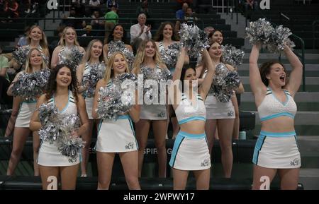 New Orleans, USA. März 2024. Die Tulane Green Wave Cheerleader treten am Freitag, den 8. März 2024, in der Fogleman Arena in New Orleans, Louisiana, während eines Basketballspiels der American Athletic Conference auf der Tribüne auf. (Foto: Peter G. Forest/SIPA USA) Credit: SIPA USA/Alamy Live News Stockfoto