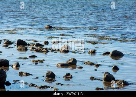 Große Felsen mit Steinen liegen im Wasser an der Ostseeküste Stockfoto