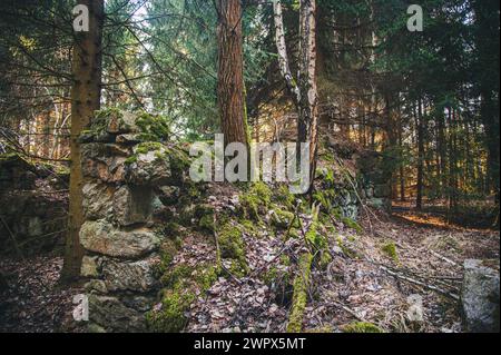 Ziegelsteinruine im Waldviertel, Österreich Stockfoto