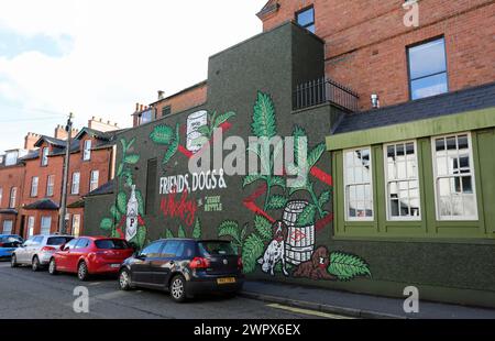 Der Jeggy Nettle Pub in Belfast Stockfoto