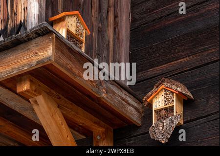 Insektenhäuser an einer Holzwand. Bughotel in der Schweiz. Im Freien. Stockfoto