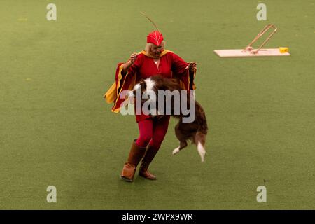 CRUFTS 2024 MAIN ARENA INTERNATIONAL FREESTYLE HEELWORK ZUM MUSIKFINALE GENTING ARENA Stockfoto