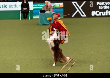 CRUFTS 2024 MAIN ARENA INTERNATIONAL FREESTYLE HEELWORK ZUM MUSIKFINALE GENTING ARENA Stockfoto