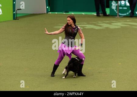 CRUFTS 2024 MAIN ARENA INTERNATIONAL FREESTYLE HEELWORK ZUM MUSIKFINALE GENTING ARENA Stockfoto