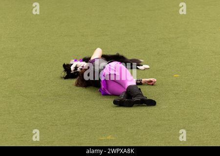 CRUFTS 2024 MAIN ARENA INTERNATIONAL FREESTYLE HEELWORK ZUM MUSIKFINALE GENTING ARENA Stockfoto