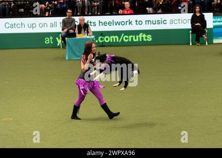 CRUFTS 2024 MAIN ARENA INTERNATIONAL FREESTYLE HEELWORK ZUM MUSIKFINALE GENTING ARENA Stockfoto