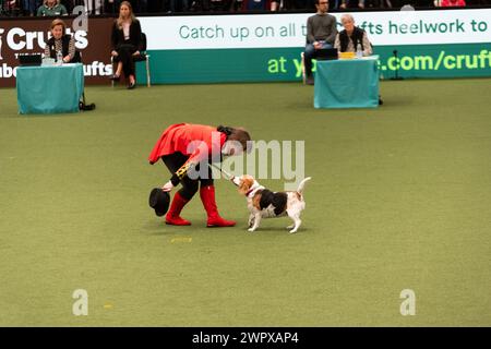 CRUFTS 2024 MAIN ARENA INTERNATIONAL FREESTYLE HEELWORK ZUM MUSIKFINALE GENTING ARENA Stockfoto