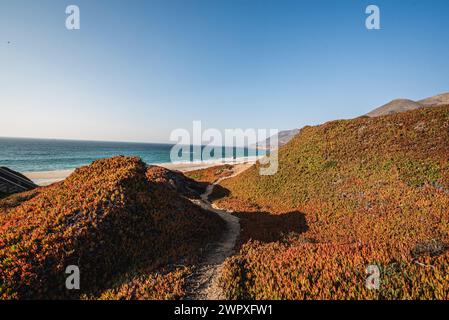 Die zerklüftete Küstenlinie des Garrapata State Park in Kalifornien Stockfoto