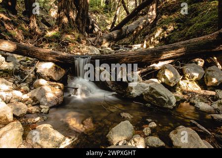 Lange Exposition eines Wasserfalls im Limekiln State Park, Kalifornien Stockfoto