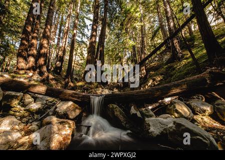 Lange Exposition eines Wasserfalls im Limekiln State Park, Kalifornien Stockfoto