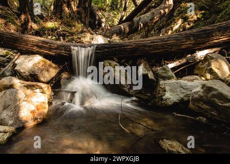 Lange Exposition eines Wasserfalls im Limekiln State Park, Kalifornien Stockfoto