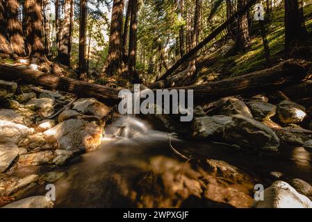 Lange Exposition eines Wasserfalls im Limekiln State Park, Kalifornien Stockfoto