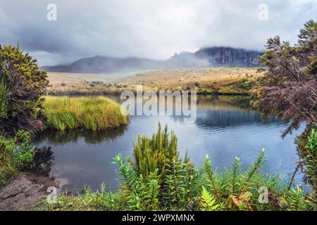 Abendliche Landschaft im Basislager während der Wanderung zum PIC Boby (Madagaskars höchster zugänglicher Gipfel), kleiner Fluss, der im Vordergrund fließt, Andringitra Massif bac Stockfoto